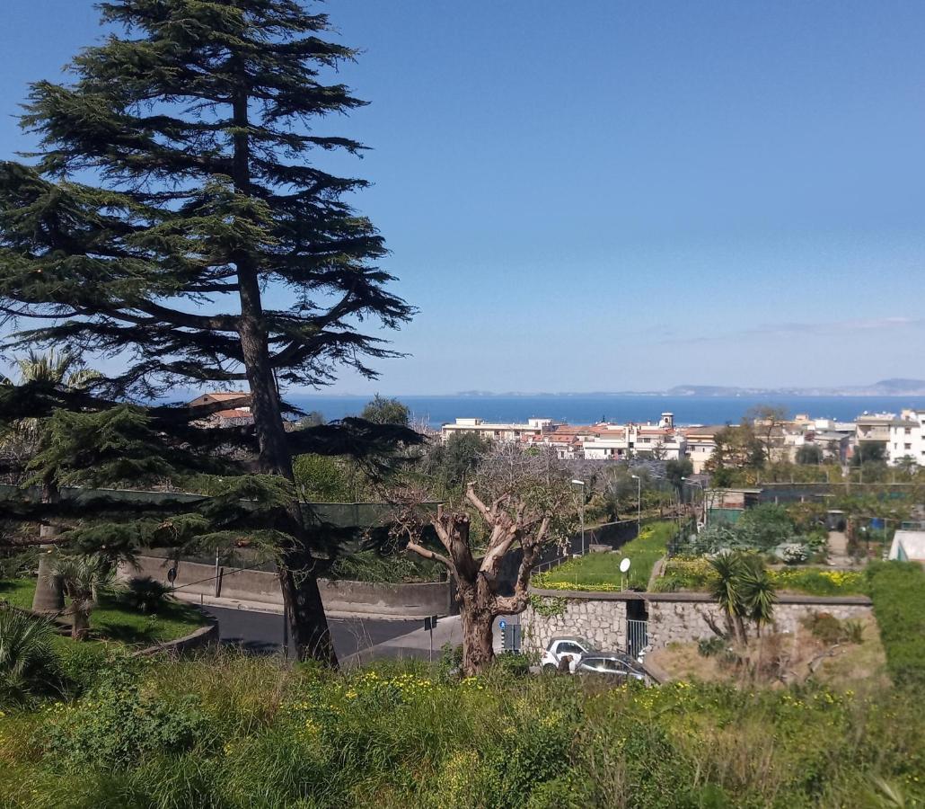 Il Platano Acomodação com café da manhã Piano di Sorrento Exterior foto