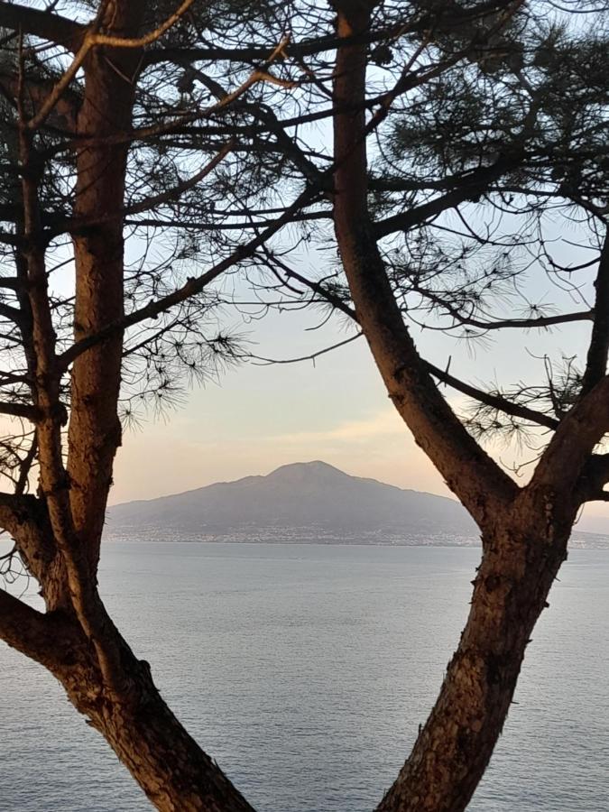 Il Platano Acomodação com café da manhã Piano di Sorrento Exterior foto