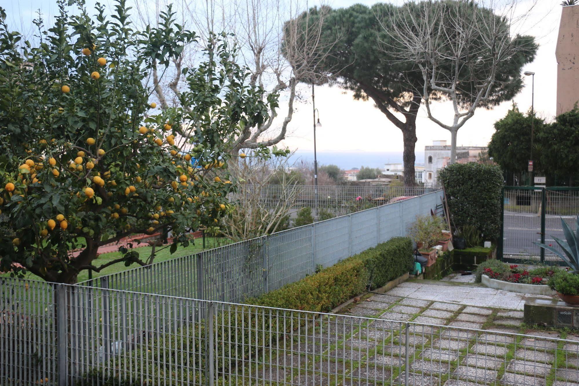 Il Platano Acomodação com café da manhã Piano di Sorrento Exterior foto